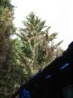09130027.jpg 